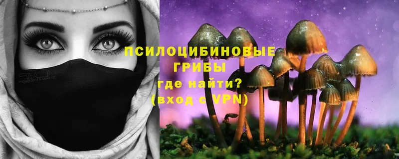 Галлюциногенные грибы Psilocybe  Александров 